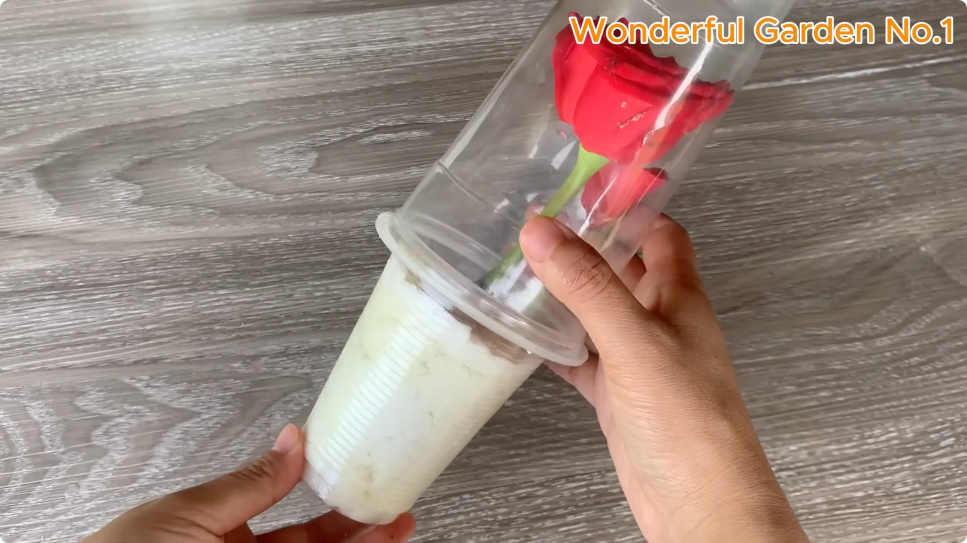 How Lemon and Garlic Help Rose Cuttings Root Quickly screenshot 10