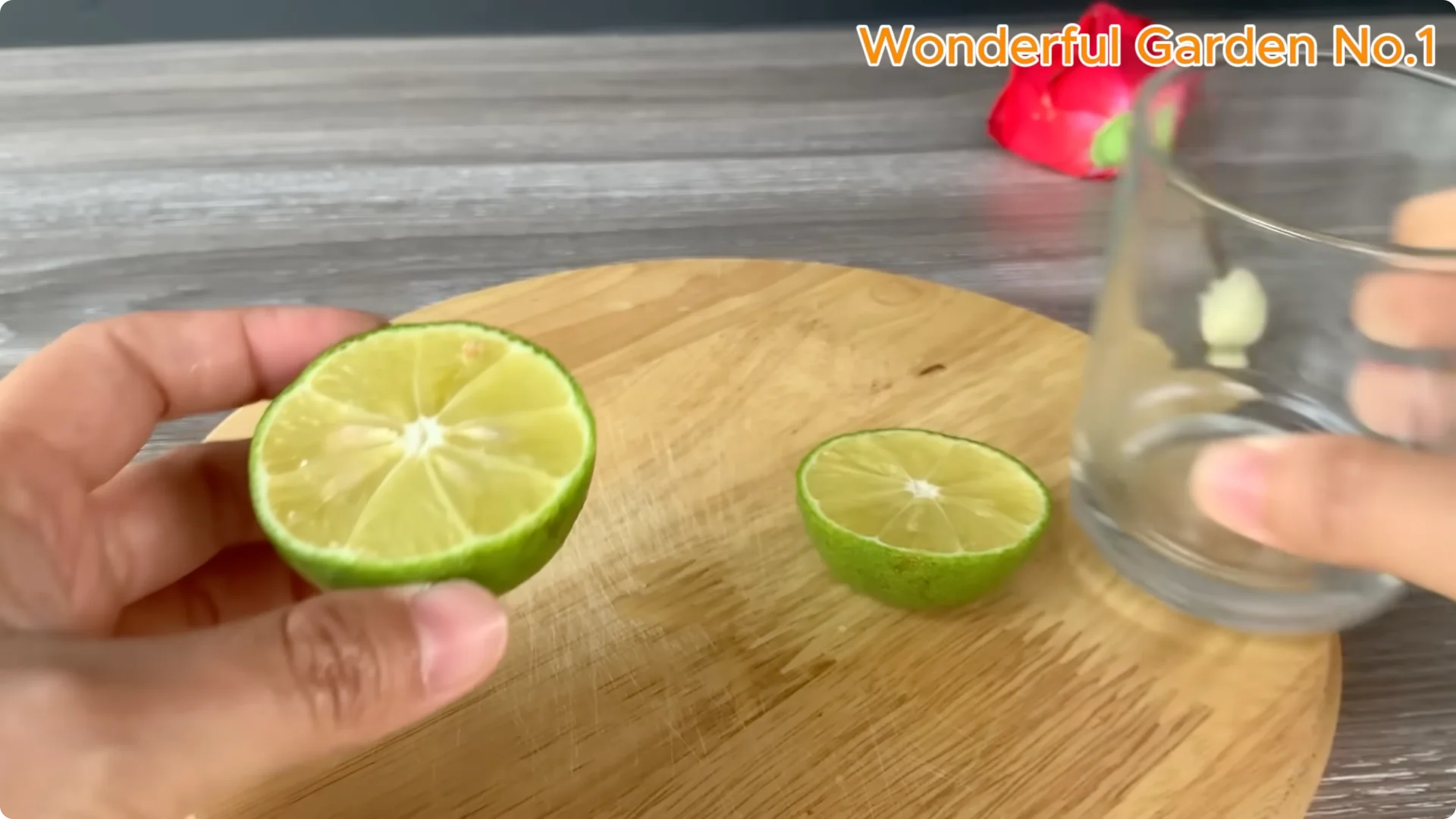 How Lemon and Garlic Help Rose Cuttings Root Quickly screenshot 3