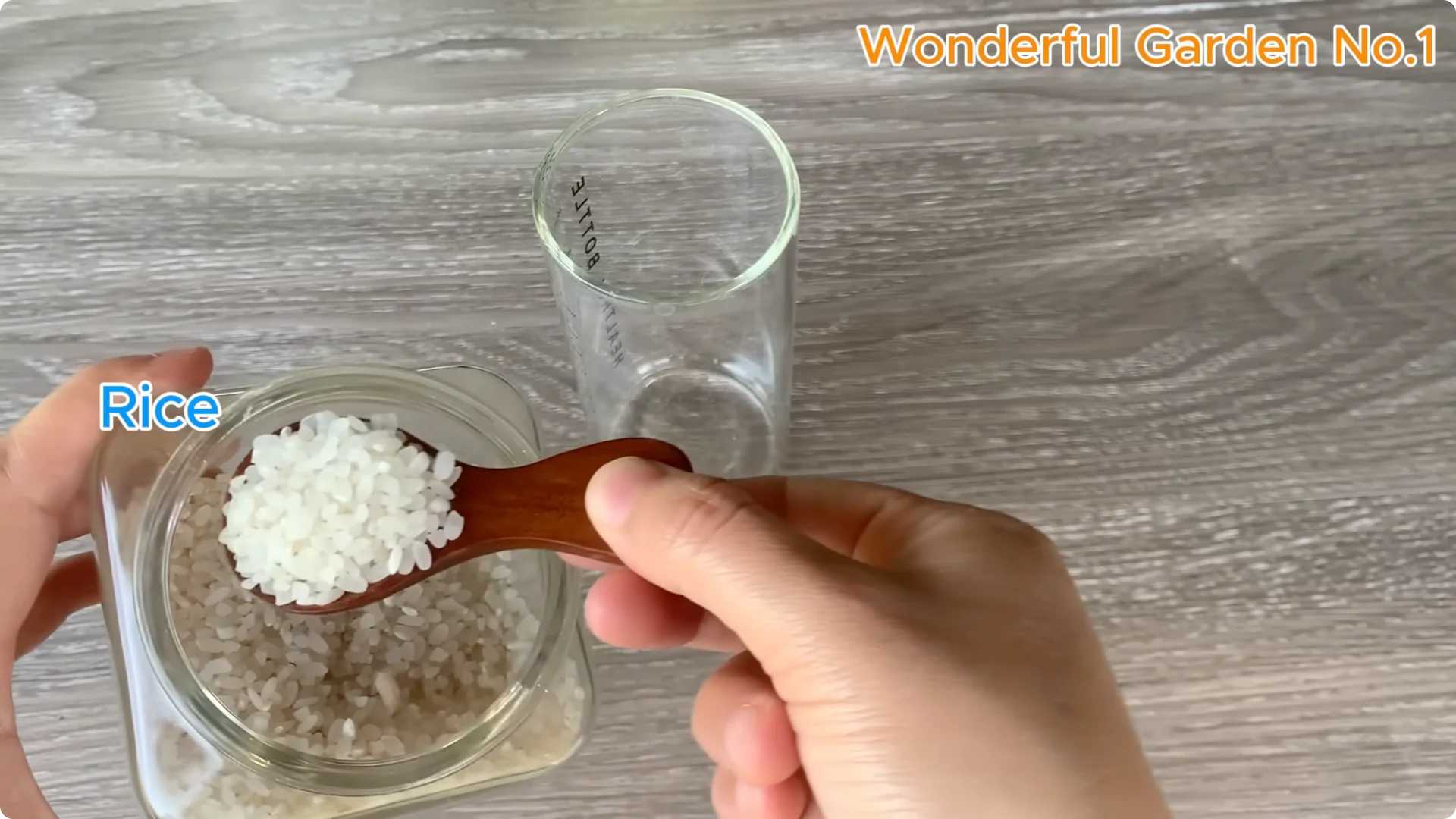 How Lemon and Garlic Help Rose Cuttings Root Quickly screenshot 5