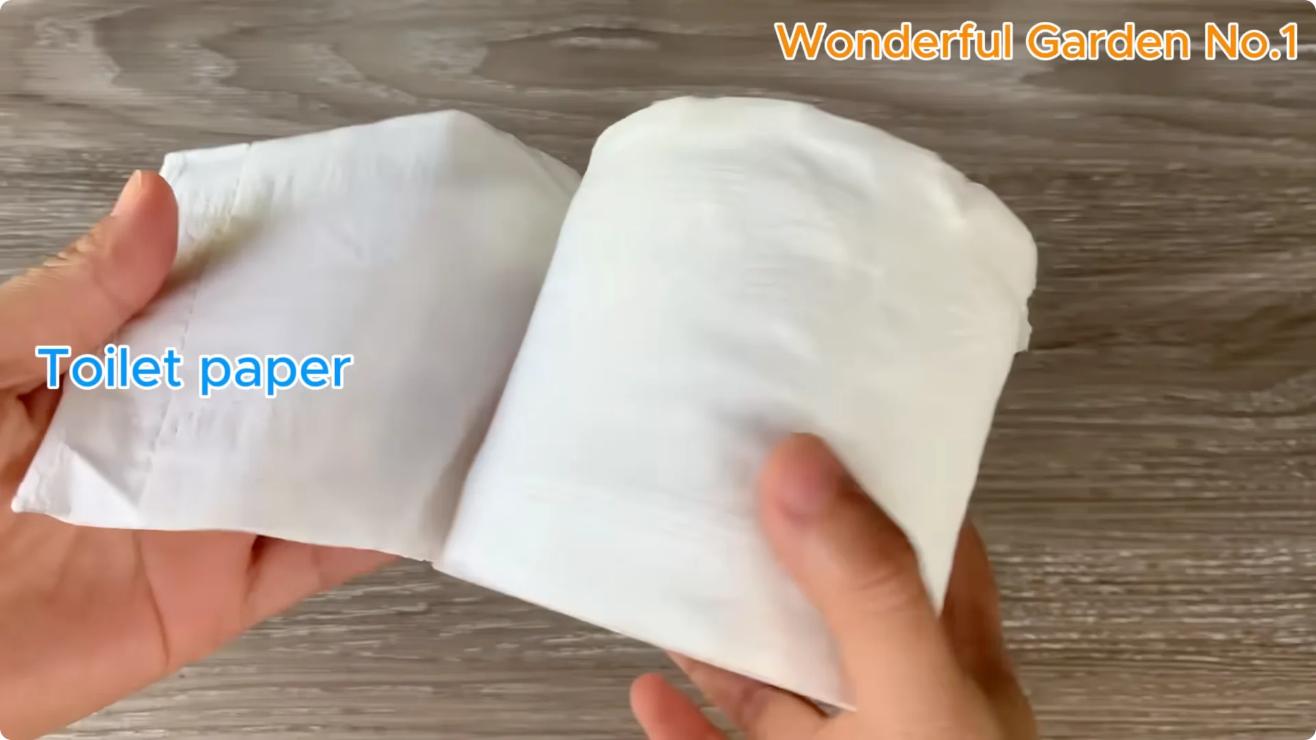 How Lemon and Garlic Help Rose Cuttings Root Quickly screenshot 6