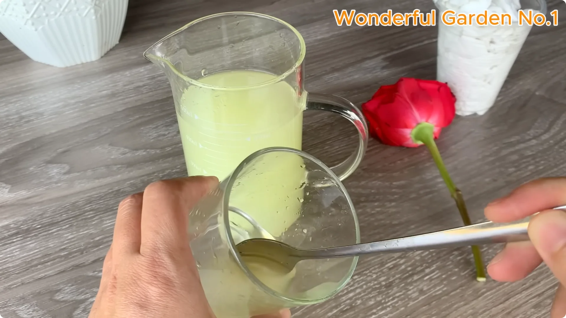 How Lemon and Garlic Help Rose Cuttings Root Quickly screenshot 7