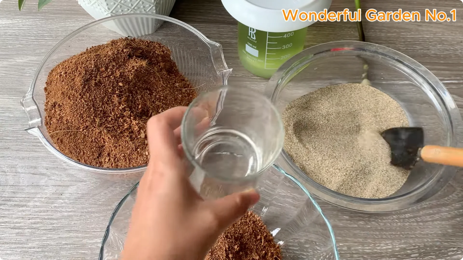 How One Pill Helps Rose Cuttings Grow 100 Roots Overnight screenshot 6