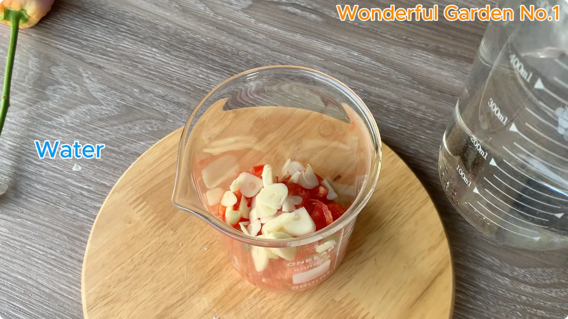 How One Simple Step Can Help Your Rose Cutting Root Quickly screenshot 3