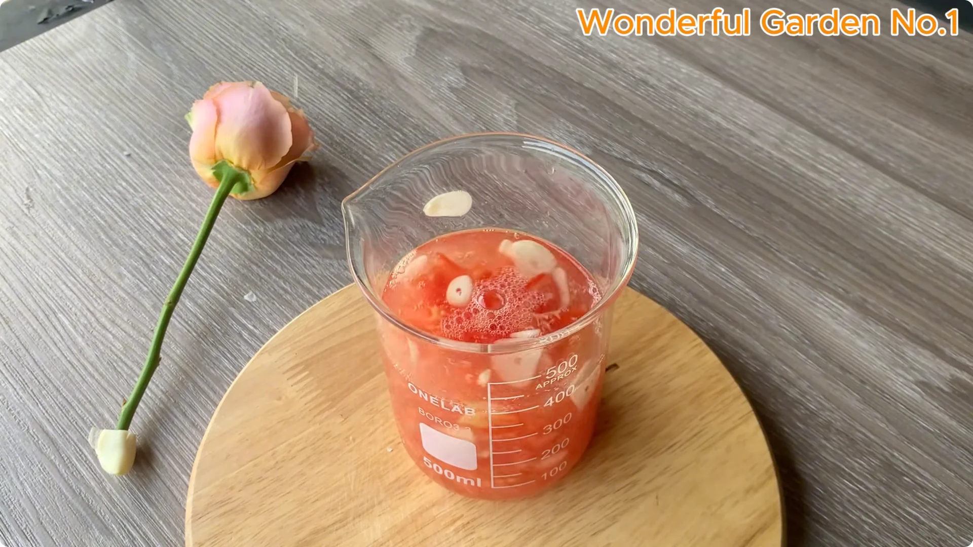 How One Simple Step Can Help Your Rose Cutting Root Quickly screenshot 4