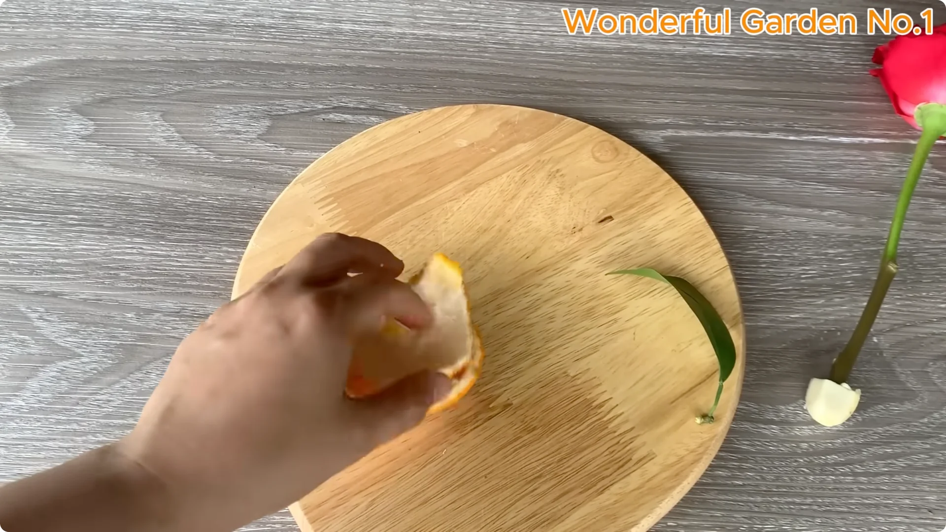 How One Simple Step Grows 999 Rose Roots Overnight screenshot 5