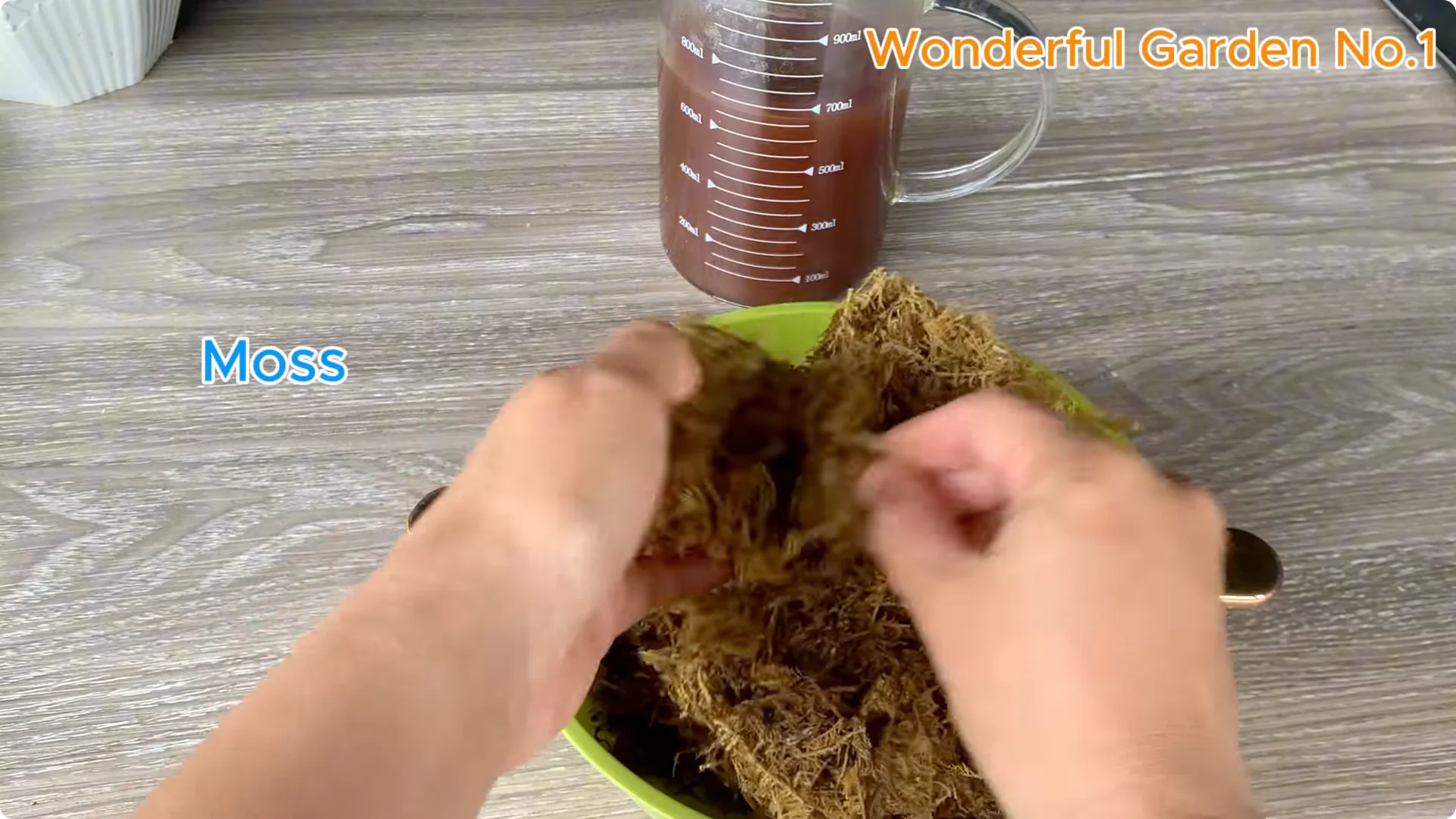 How One Spoon Sparked 999 Roots on a Rose Stem Overnight screenshot 11