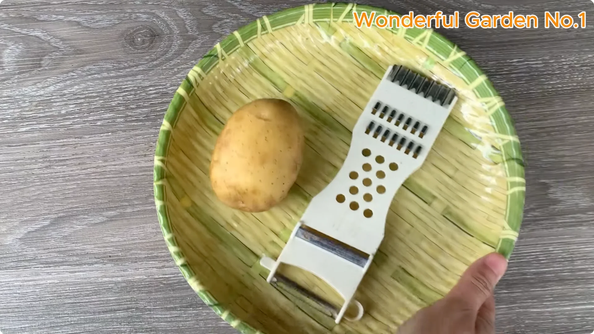 How One Spoon Sparked 999 Roots on a Rose Stem Overnight screenshot 5