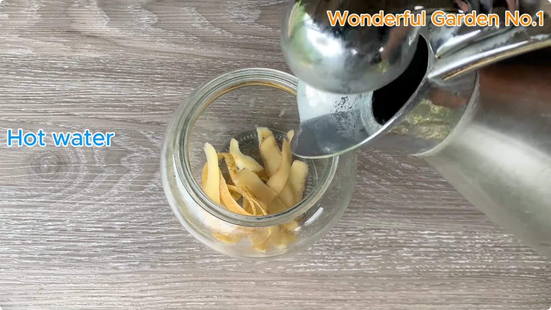 How One Spoon Sparked 999 Roots on a Rose Stem Overnight screenshot 7