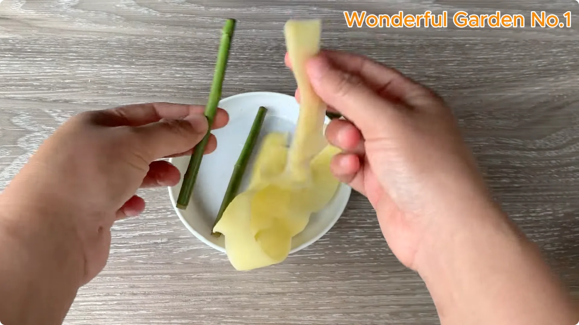 How One Spoon Sparked 999 Roots on a Rose Stem Overnight screenshot 8