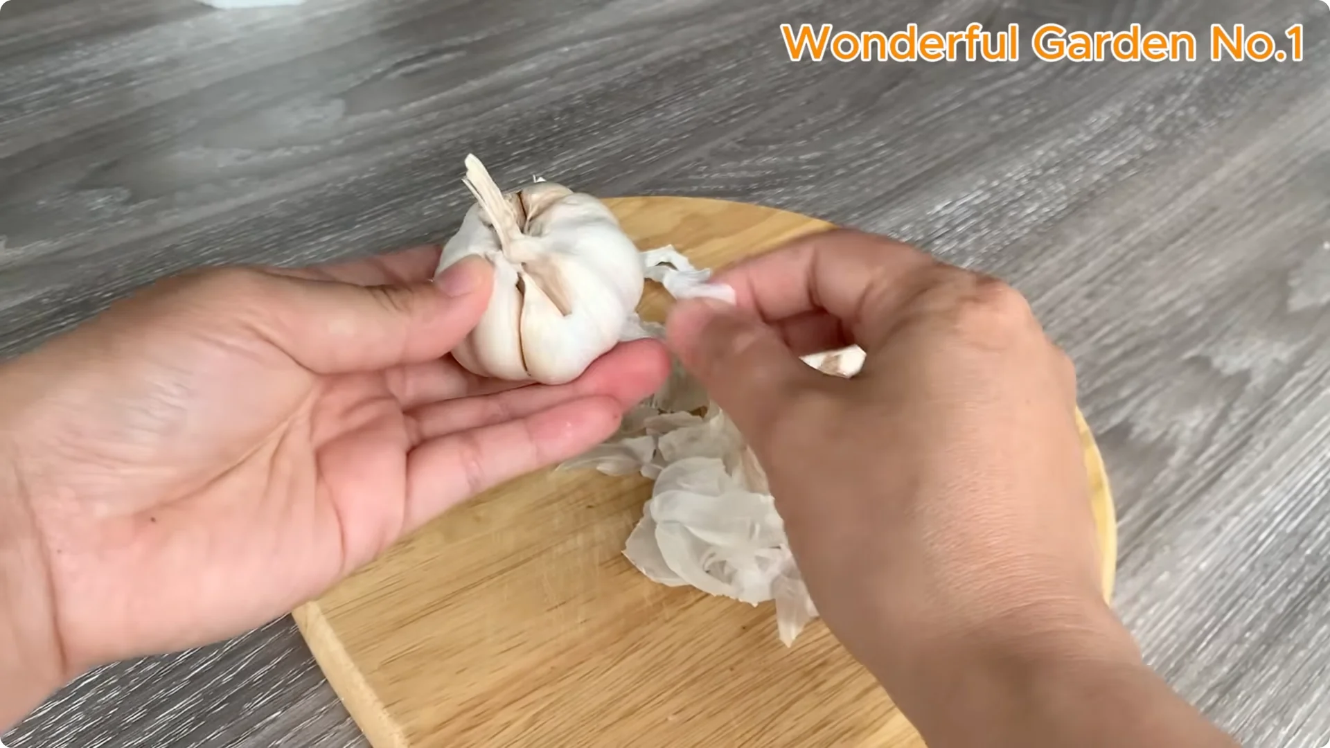 How One Spoon Sparks Thousands of Roots on a Rose Branch Overnight screenshot 1