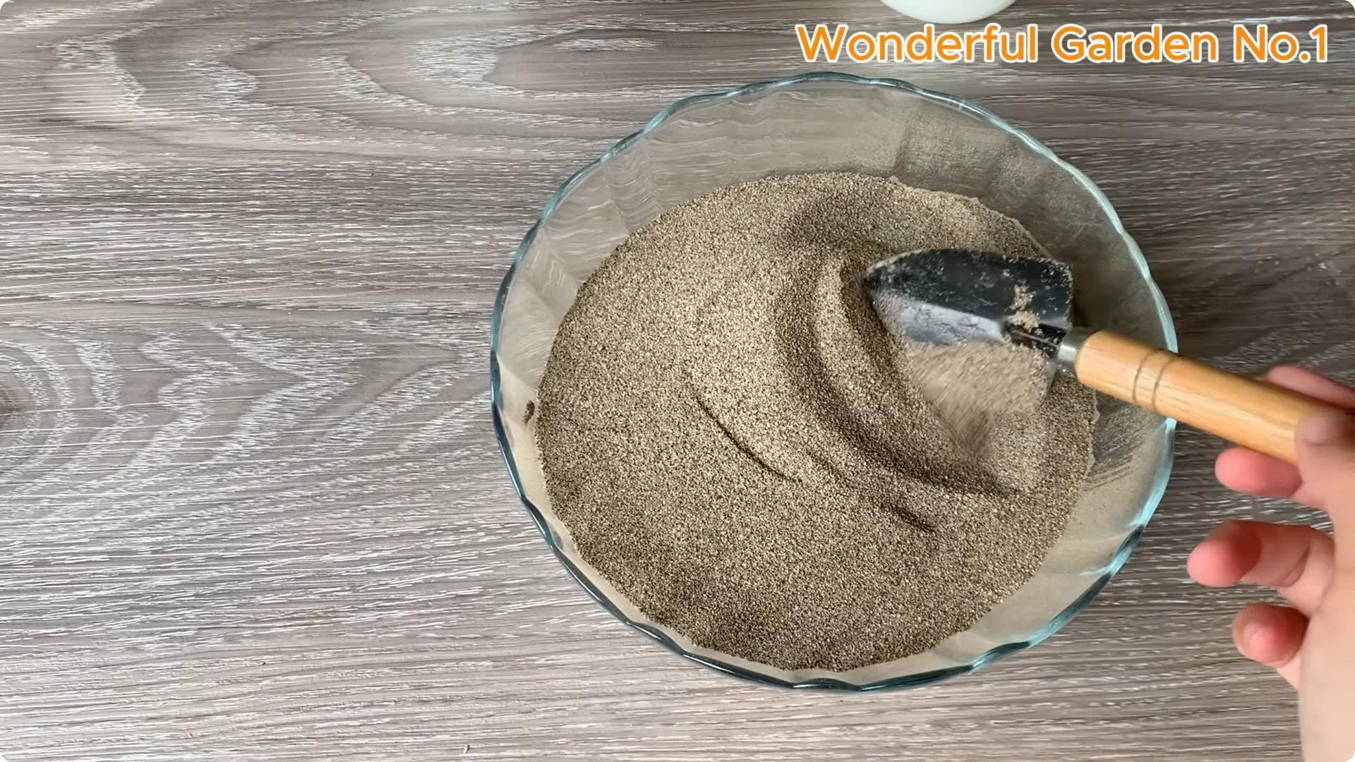 How One Spoon Sparks Thousands of Roots on a Rose Branch Overnight screenshot 14