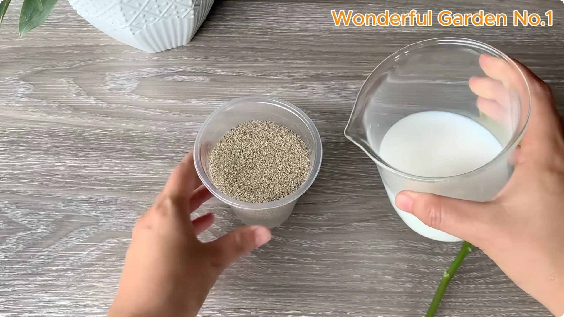 How One Spoon Sparks Thousands of Roots on a Rose Branch Overnight screenshot 15