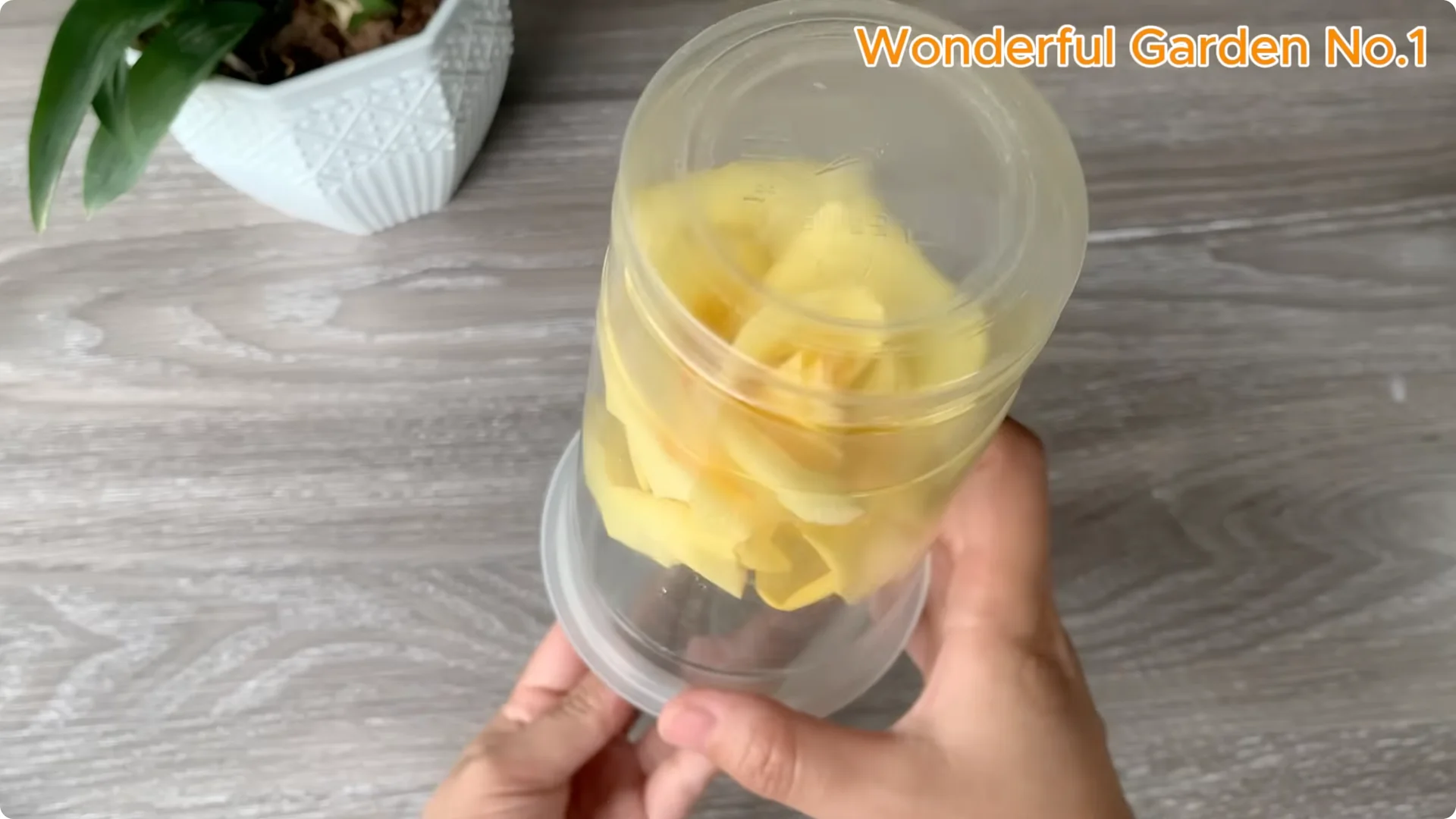 How One Spoon Sparks Thousands of Roots on a Rose Branch Overnight screenshot 21