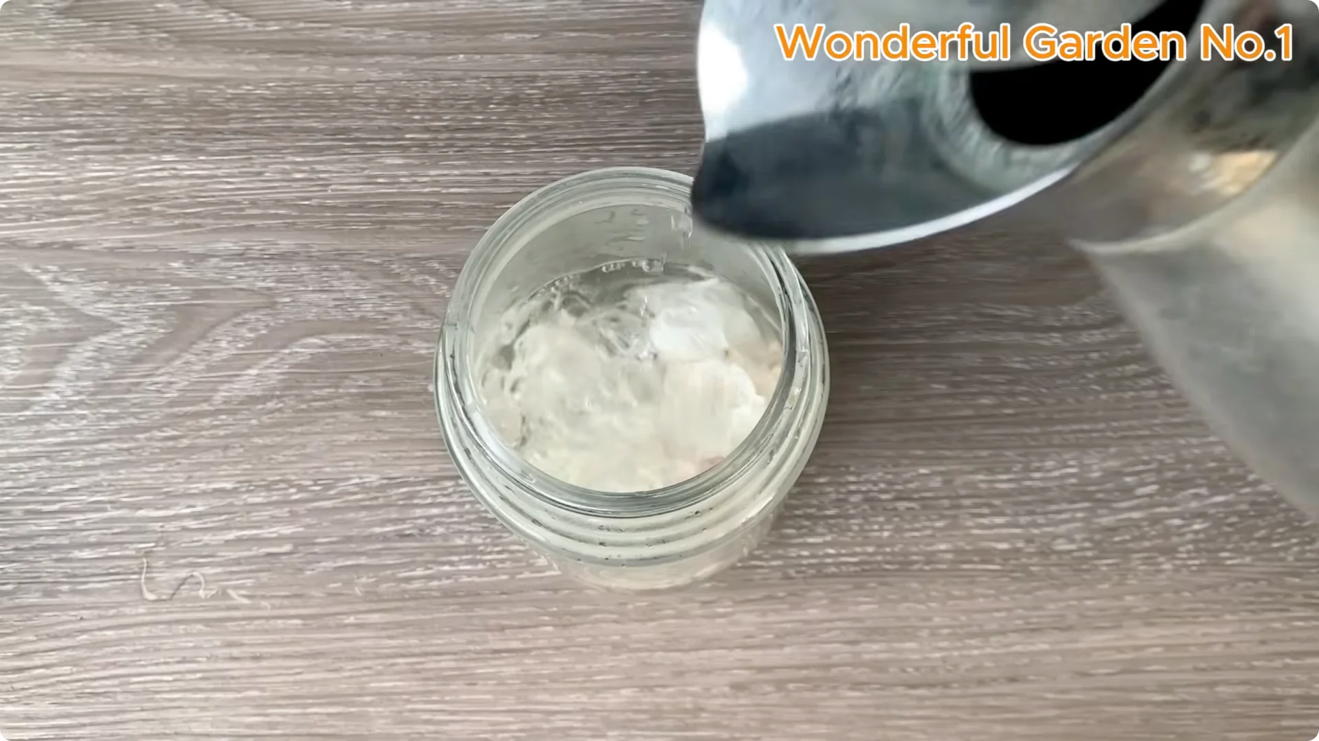 How One Spoon Sparks Thousands of Roots on a Rose Branch Overnight screenshot 3