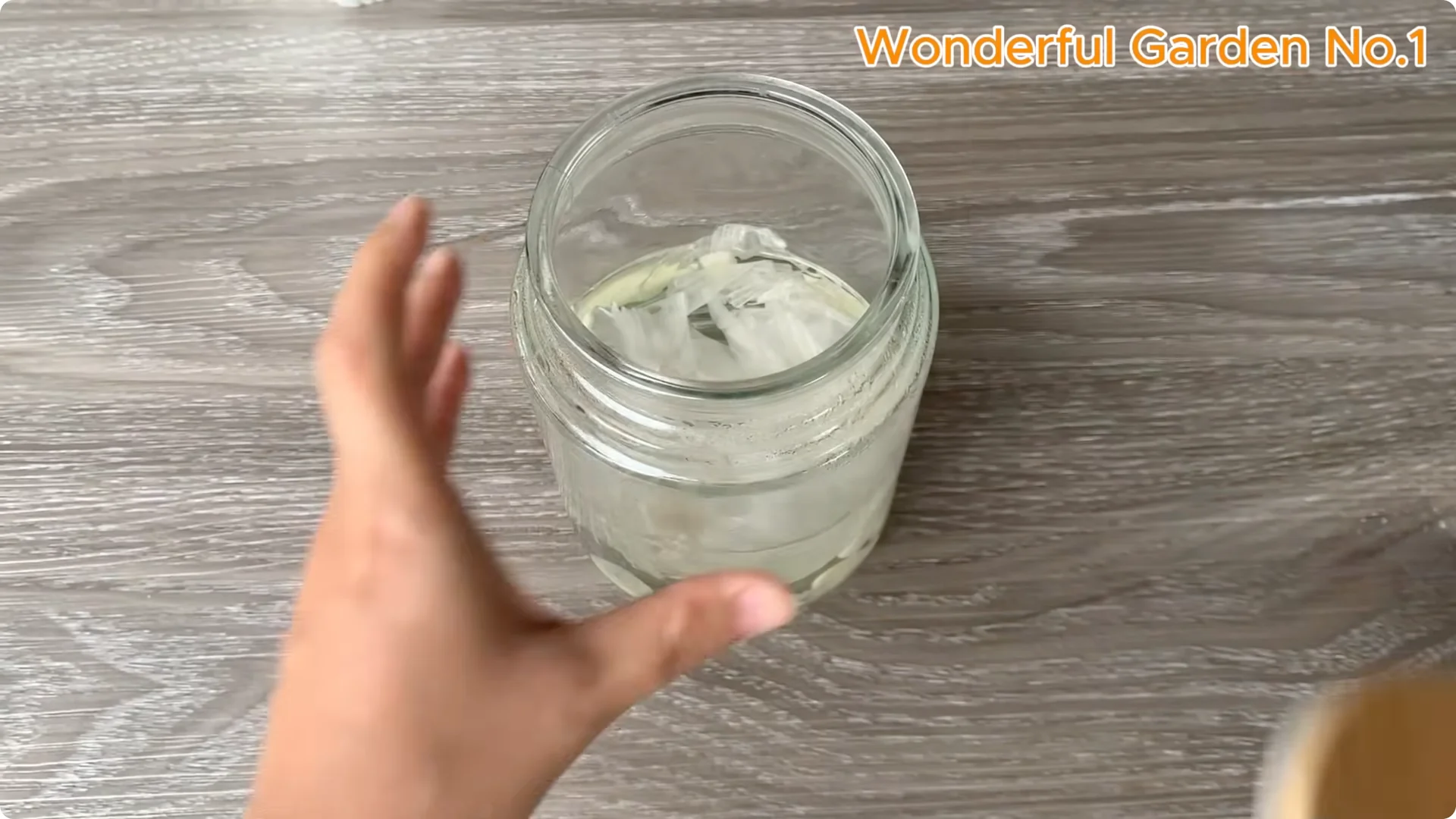 How One Spoon Sparks Thousands of Roots on a Rose Branch Overnight screenshot 4