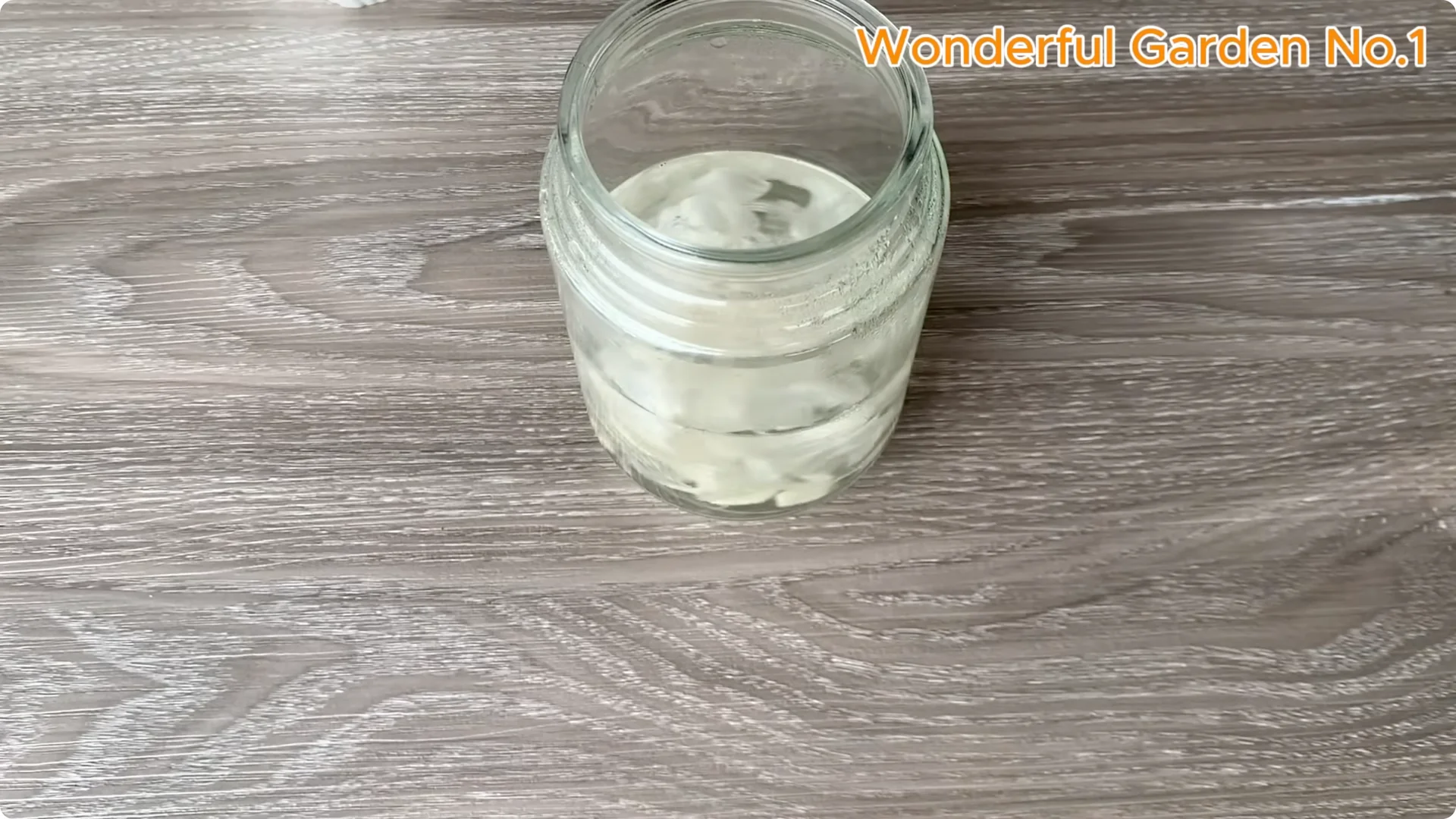 How One Spoon Sparks Thousands of Roots on a Rose Branch Overnight screenshot 5