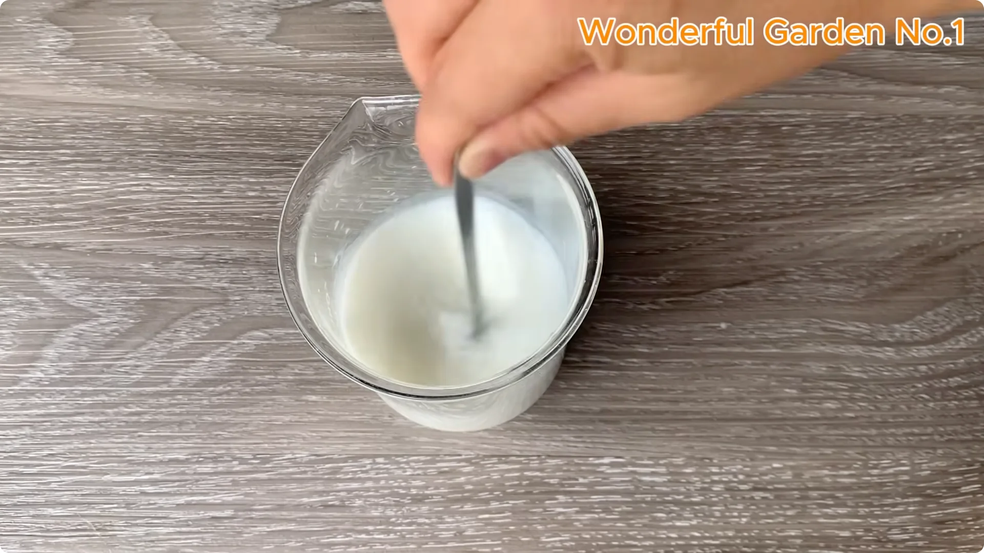 How One Spoon Sparks Thousands of Roots on a Rose Branch Overnight screenshot 6