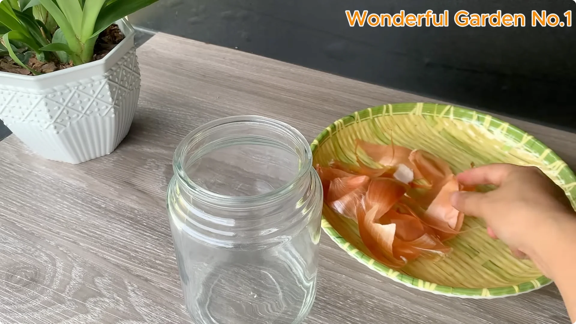 How One Spoonful Can Transform Your Rose Cuttings screenshot 1