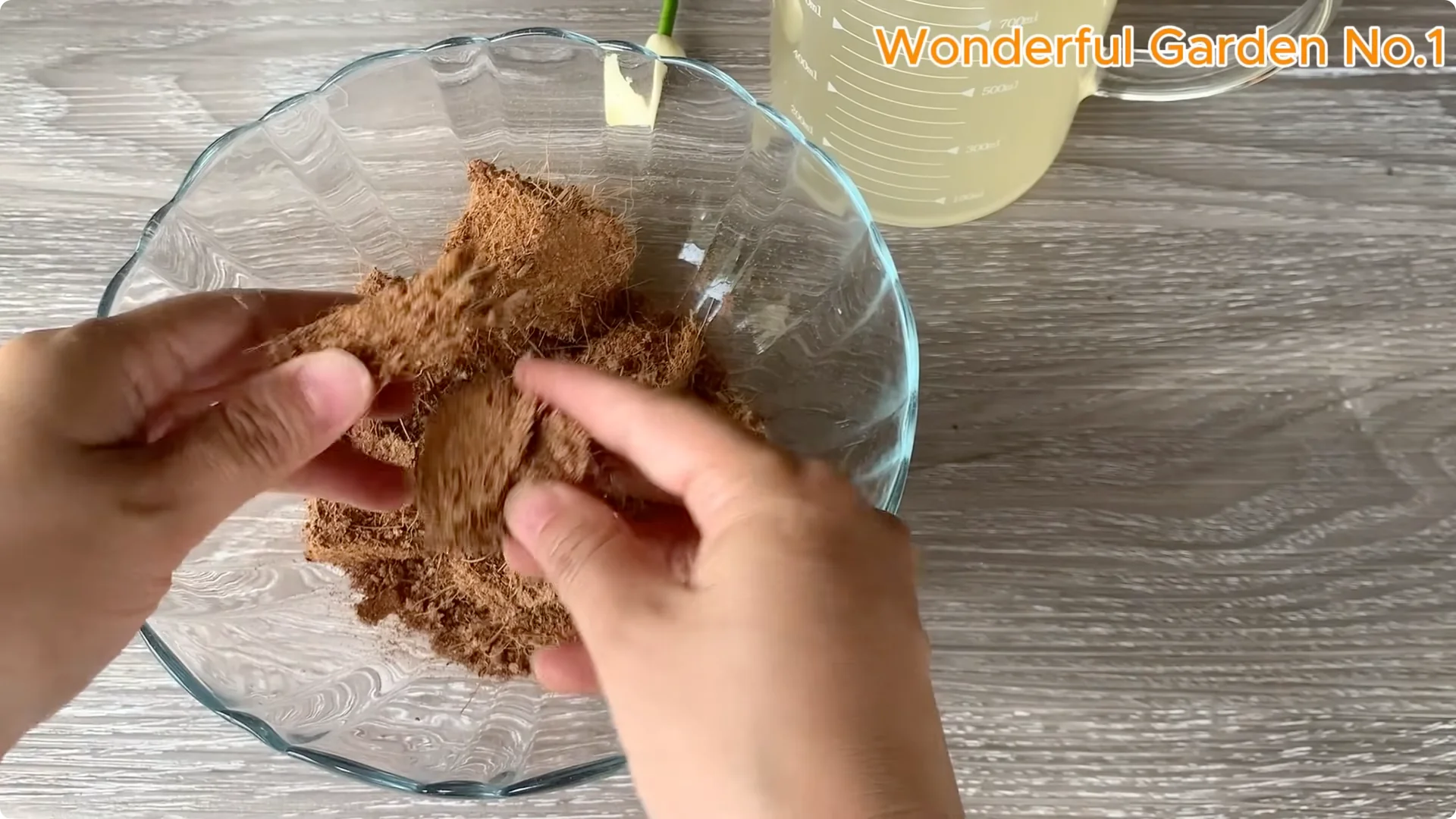 How One Spoonful Can Transform Your Rose Cuttings screenshot 3