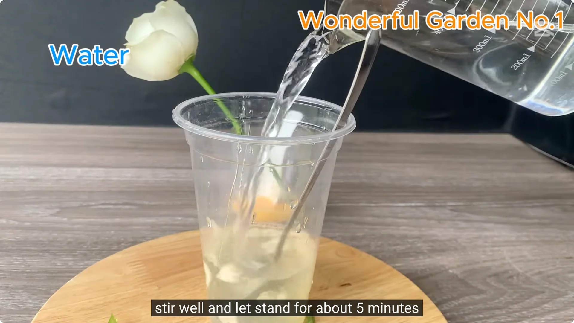 How One Thin Rose Slice Sparked Rapid Root Growth Overnight screenshot 13