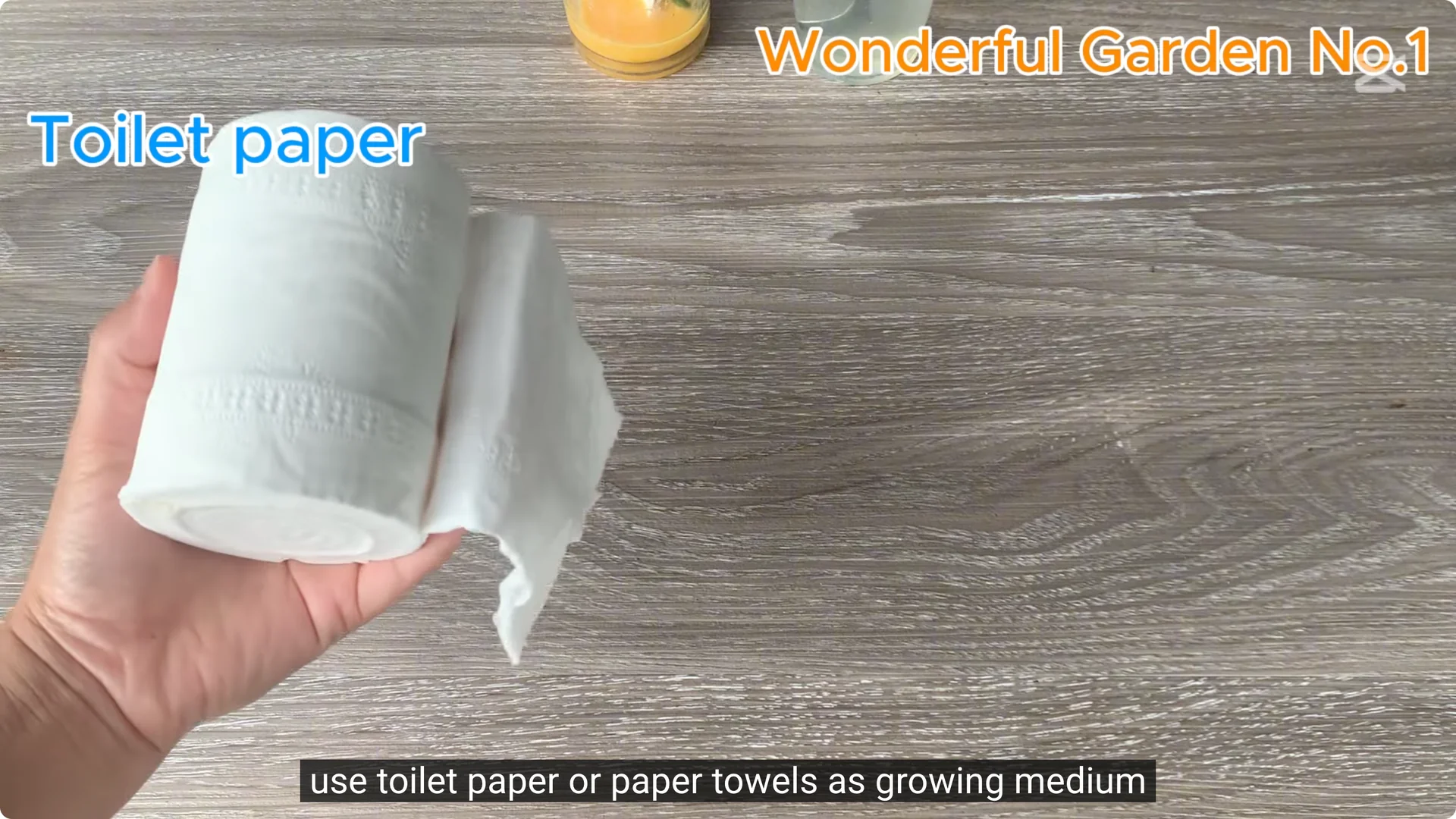 How One Thin Rose Slice Sparked Rapid Root Growth Overnight screenshot 14