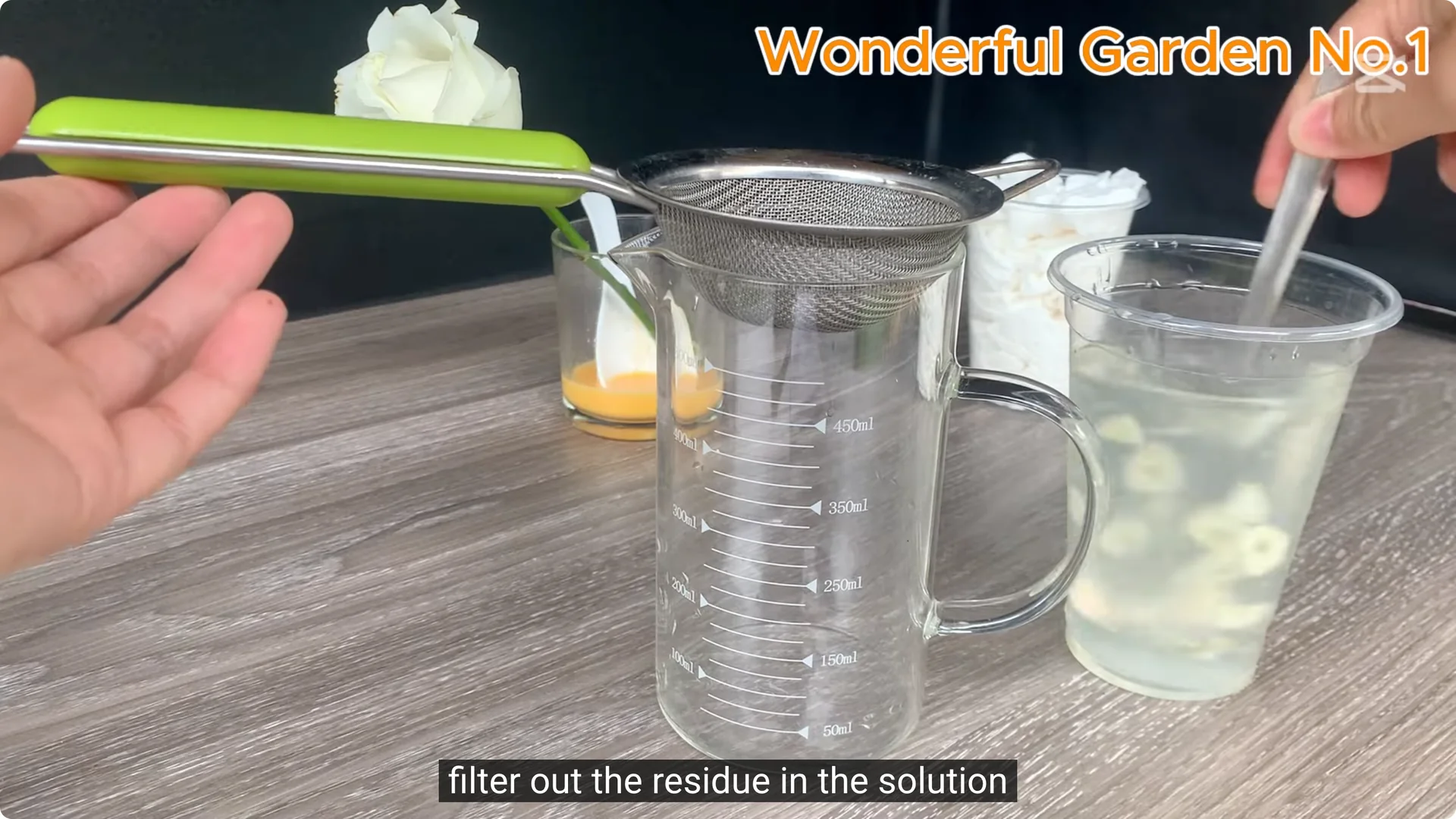 How One Thin Rose Slice Sparked Rapid Root Growth Overnight screenshot 16