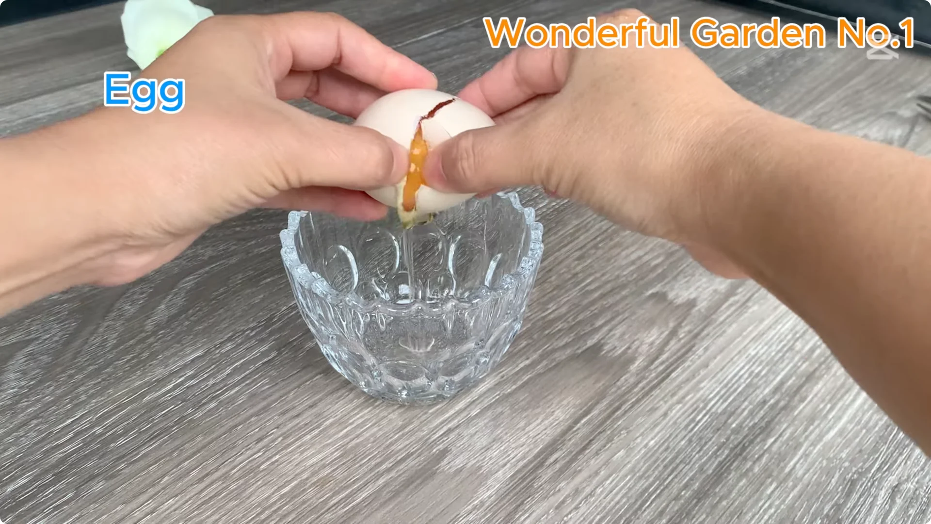 How One Thin Rose Slice Sparked Rapid Root Growth Overnight screenshot 4