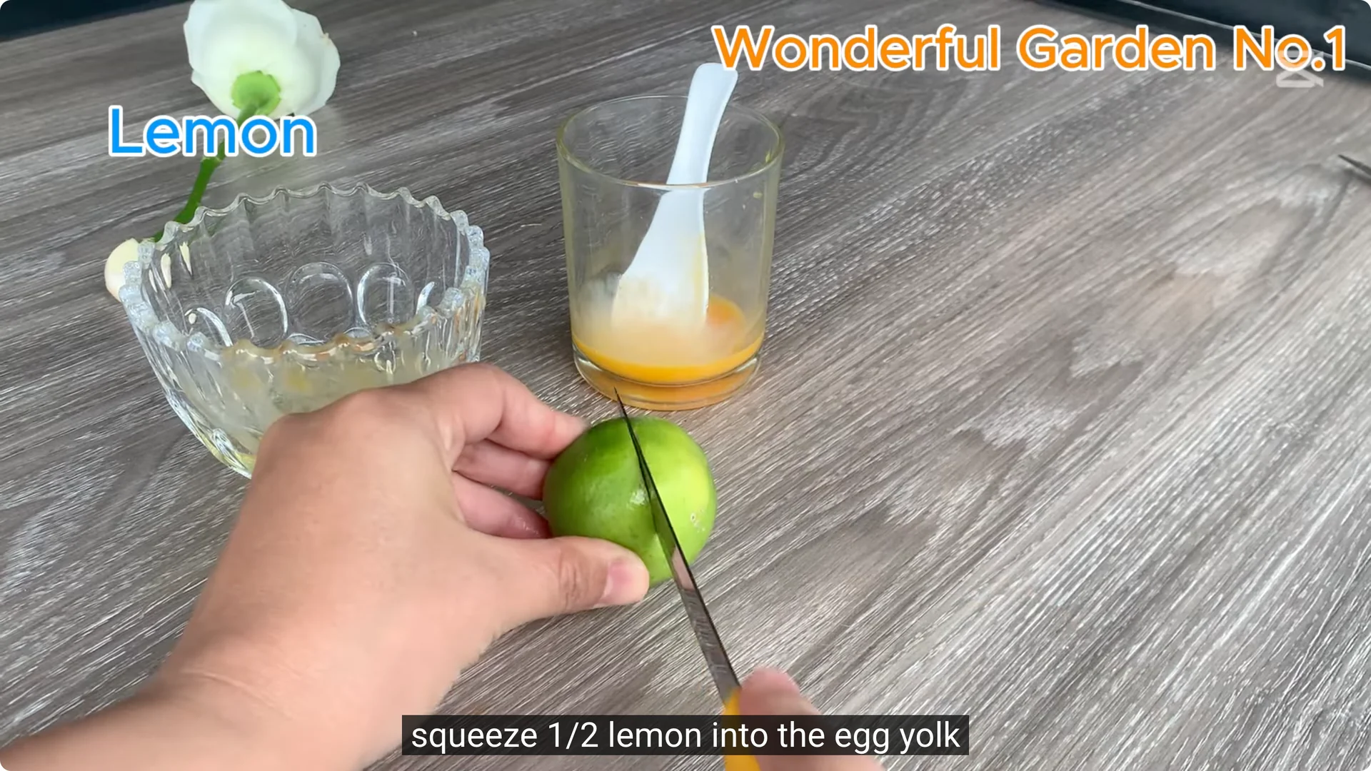 How One Thin Rose Slice Sparked Rapid Root Growth Overnight screenshot 6