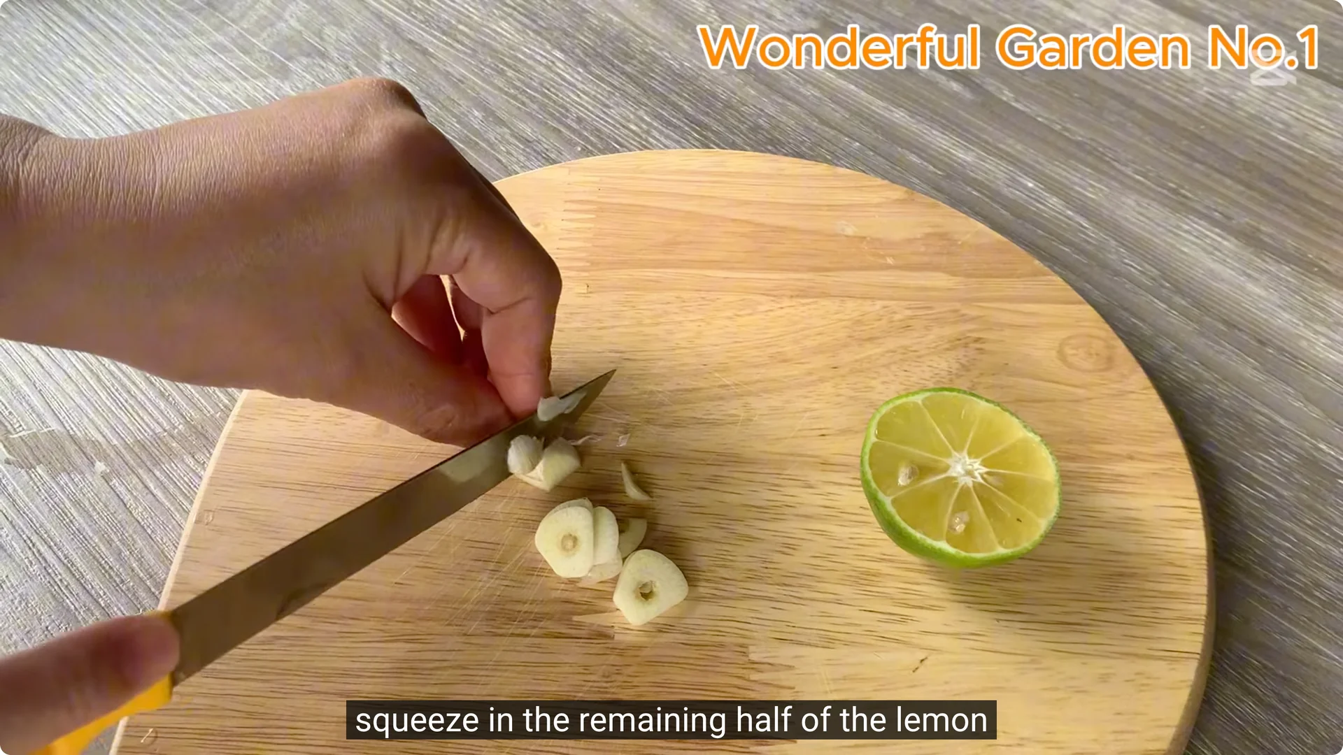 How One Thin Rose Slice Sparked Rapid Root Growth Overnight screenshot 9