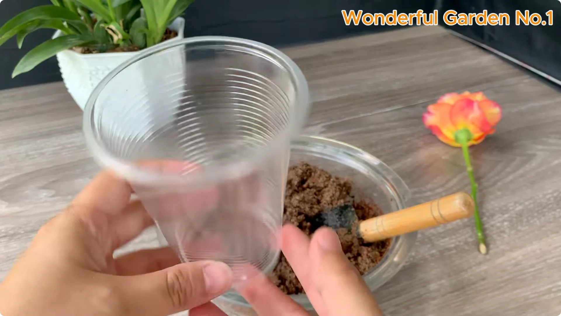 How One Thin Slice Sparked 1002 Rose Roots Overnight screenshot 14