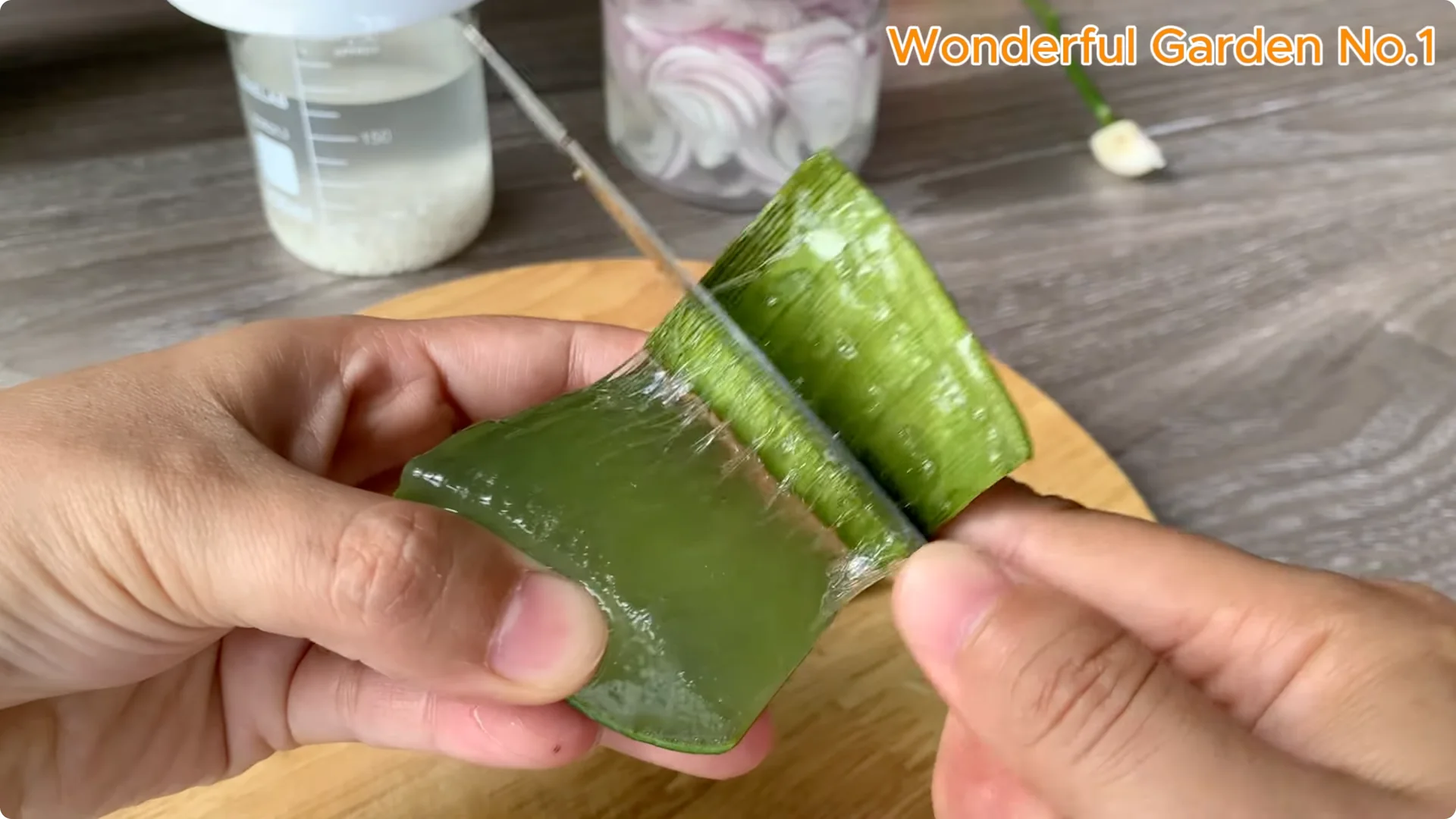 How One Thin Slice Sparked 1002 Rose Roots Overnight screenshot 9