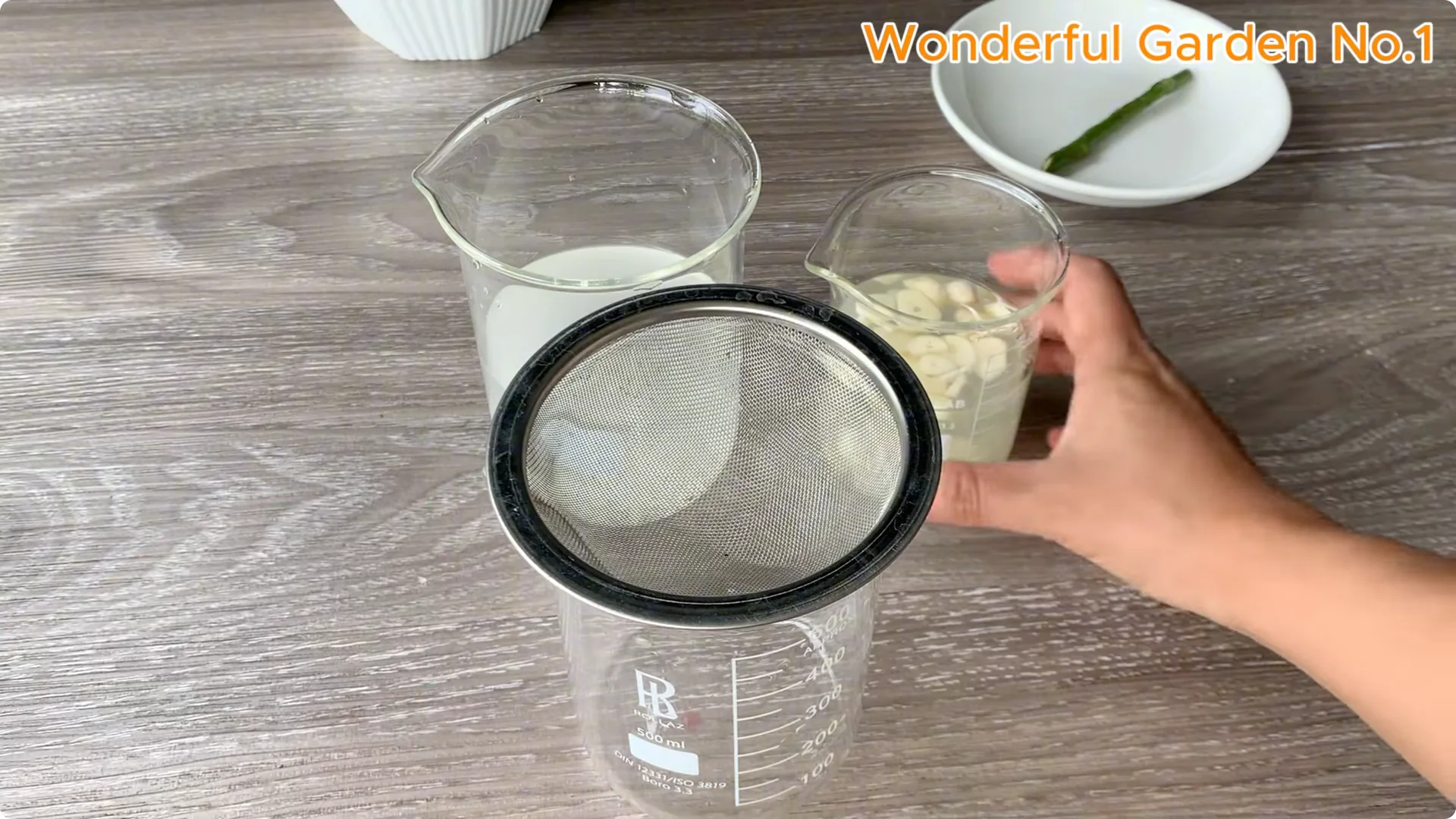 How Rice Water Transforms Rose Cuttings Overnight screenshot 11