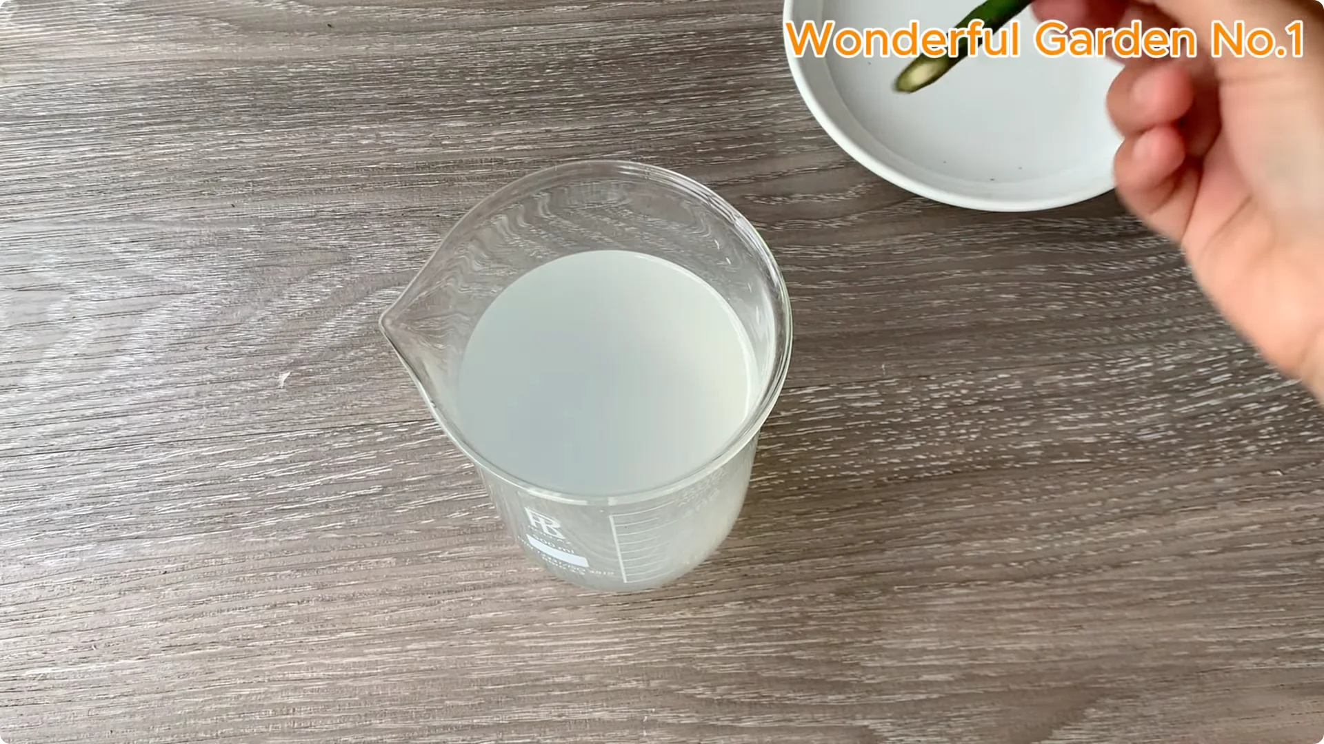 How Rice Water Transforms Rose Cuttings Overnight screenshot 12