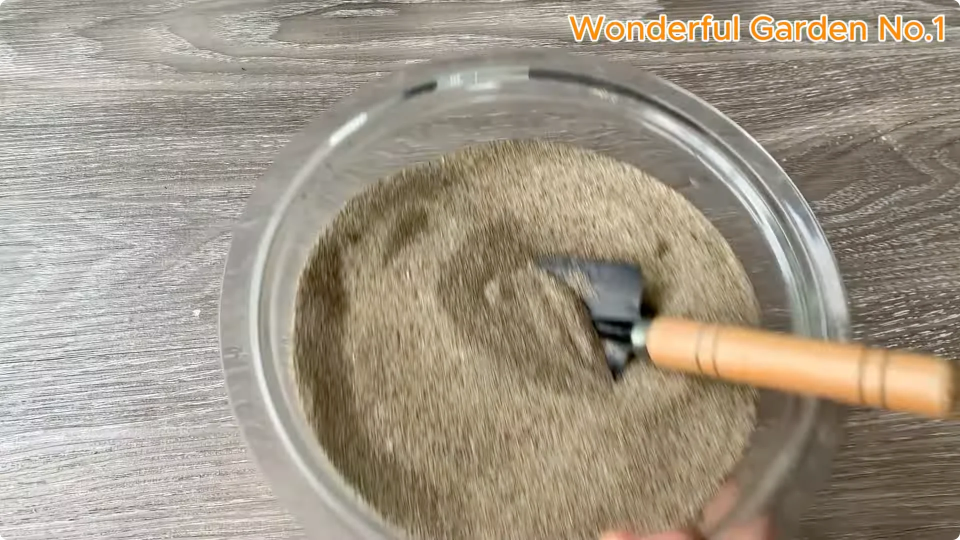 How Rice Water Transforms Rose Cuttings Overnight screenshot 13