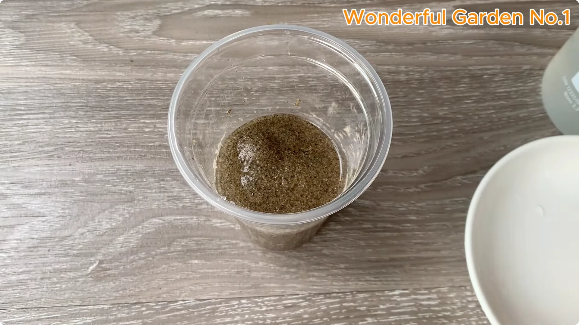 How Rice Water Transforms Rose Cuttings Overnight screenshot 15