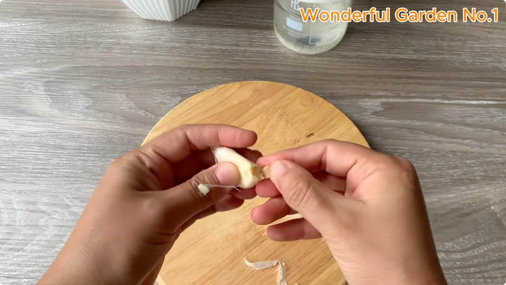 How Rice Water Transforms Rose Cuttings Overnight screenshot 2