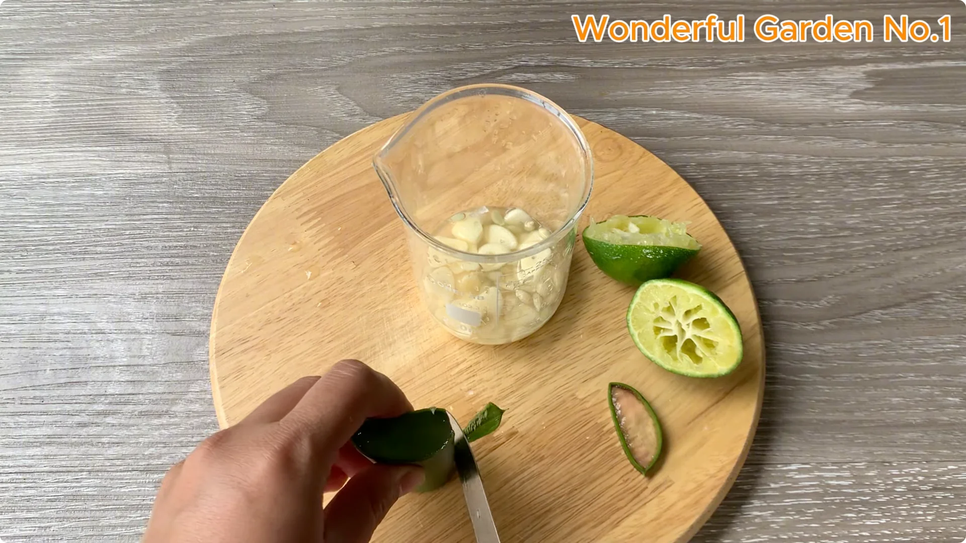 How Rice Water Transforms Rose Cuttings Overnight screenshot 4