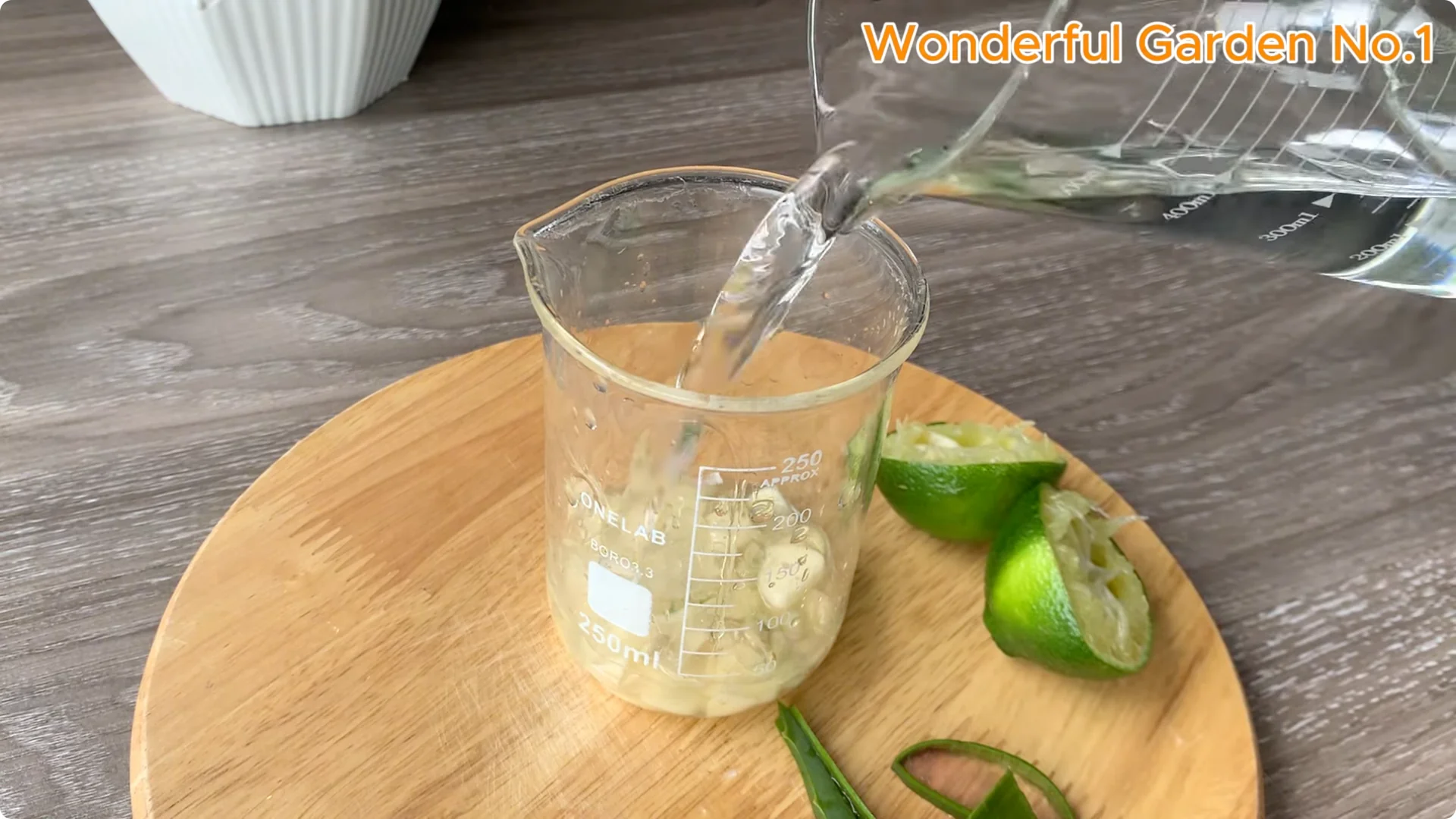 How Rice Water Transforms Rose Cuttings Overnight screenshot 5