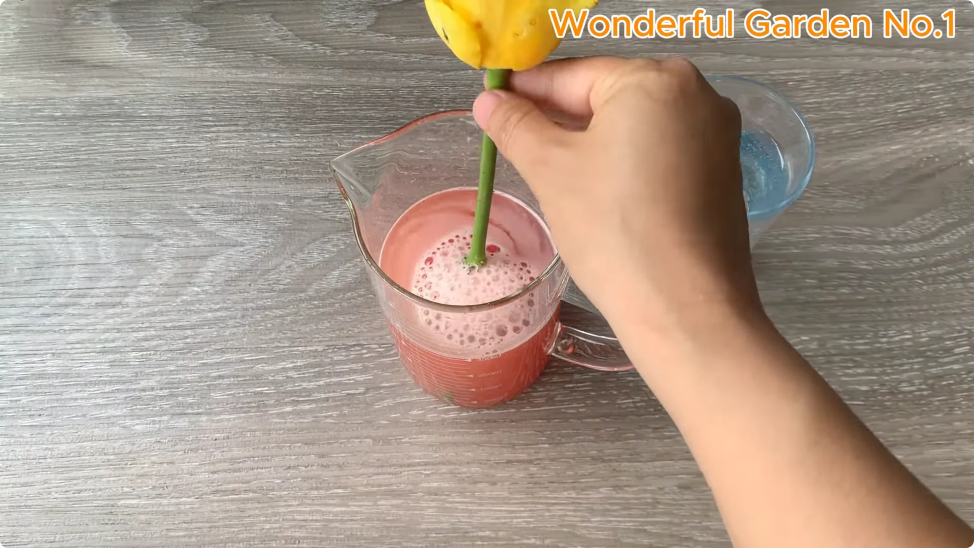 How Rose Branches in Water Can Spark Rapid Root Growth screenshot 11