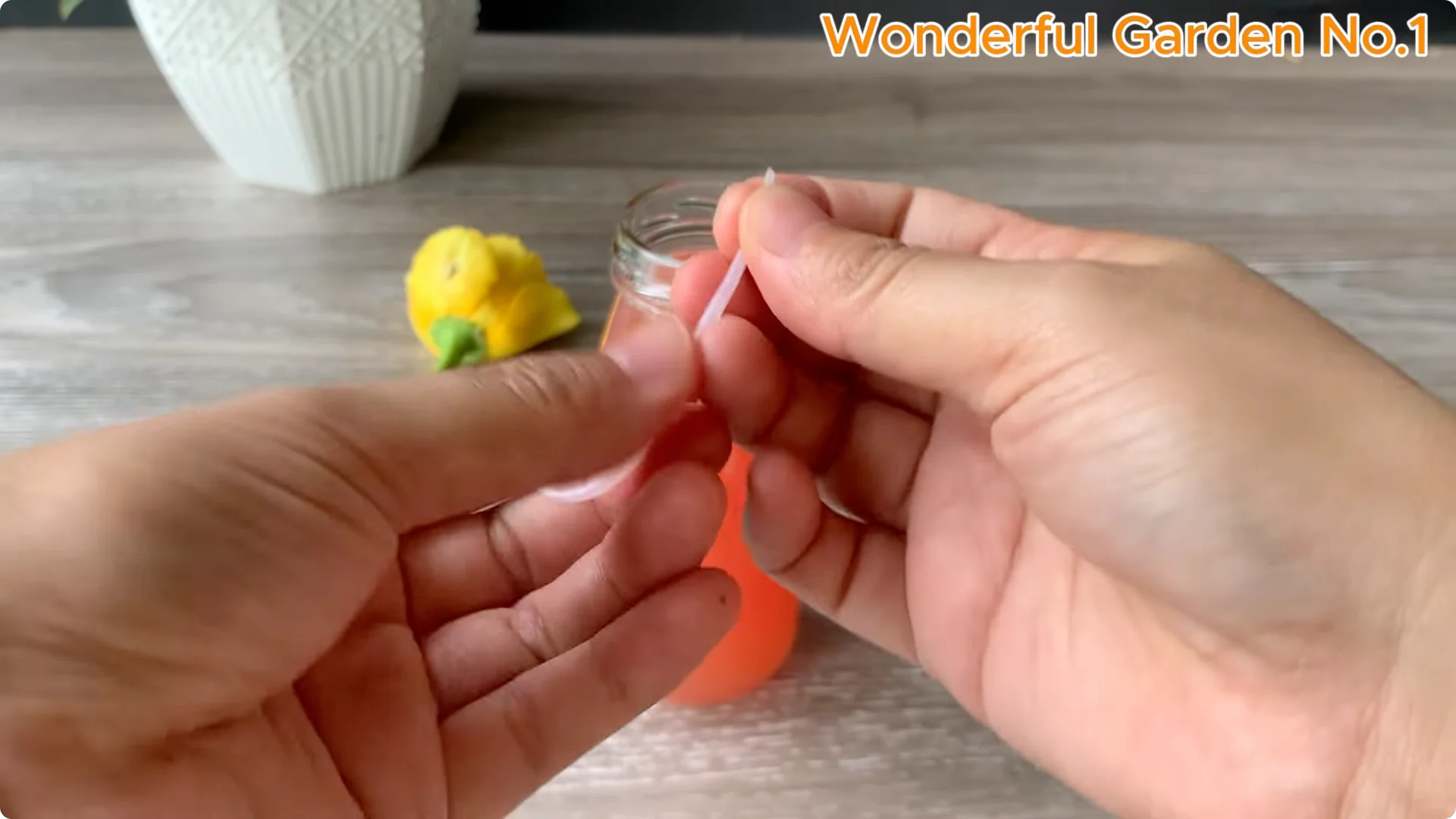 How Rose Branches in Water Can Spark Rapid Root Growth screenshot 16