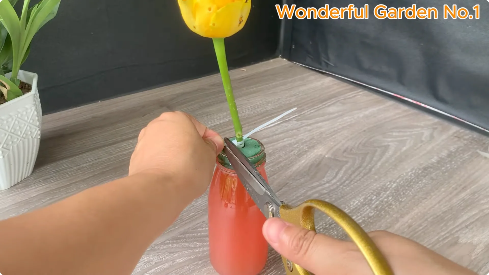 How Rose Branches in Water Can Spark Rapid Root Growth screenshot 17