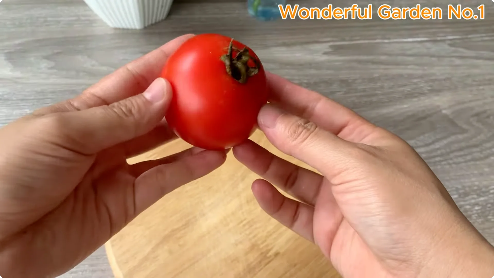 How Rose Branches in Water Can Spark Rapid Root Growth screenshot 7