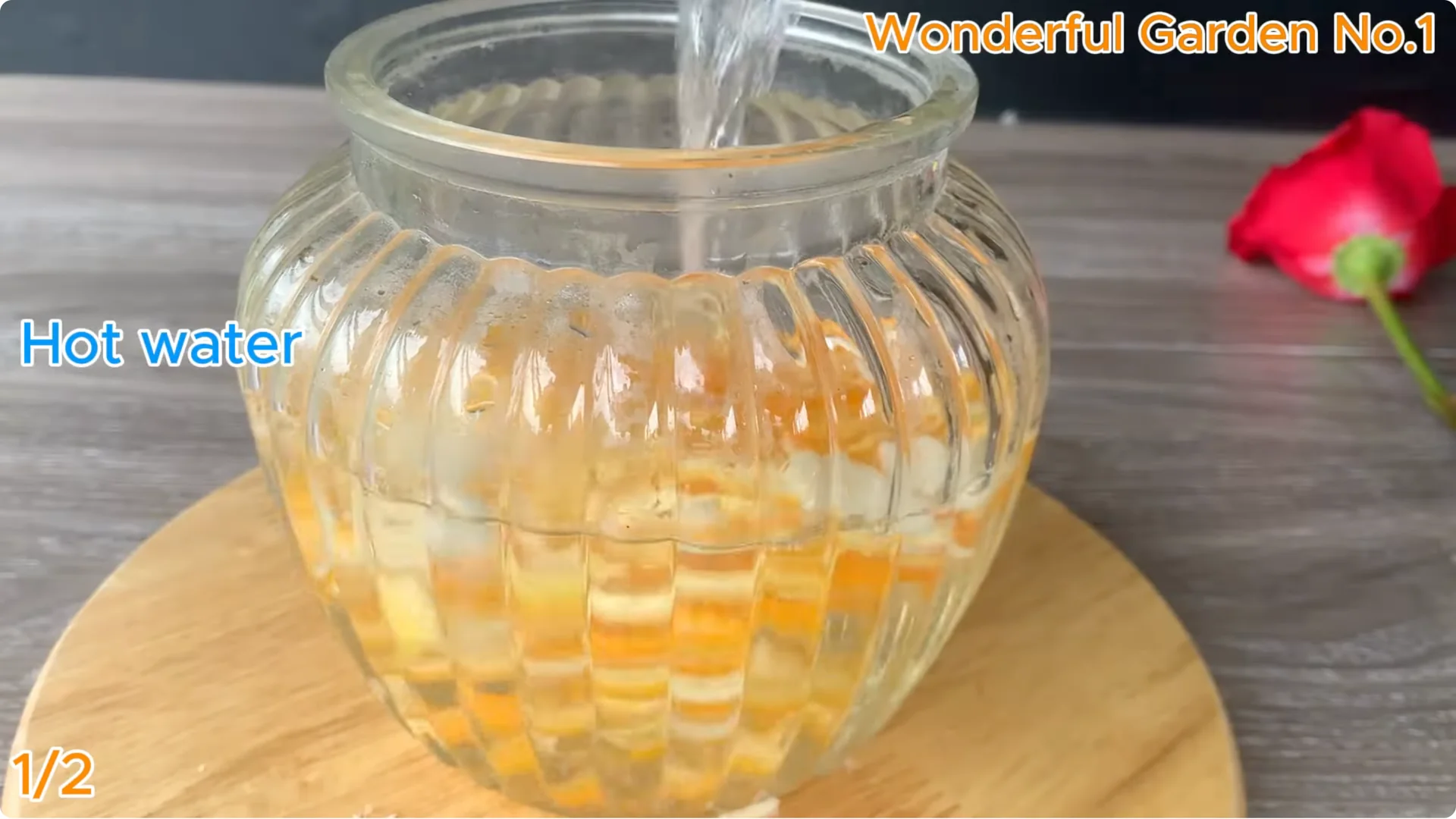 How This Simple Water Trick Grows 999 Rose Roots Overnight screenshot 3