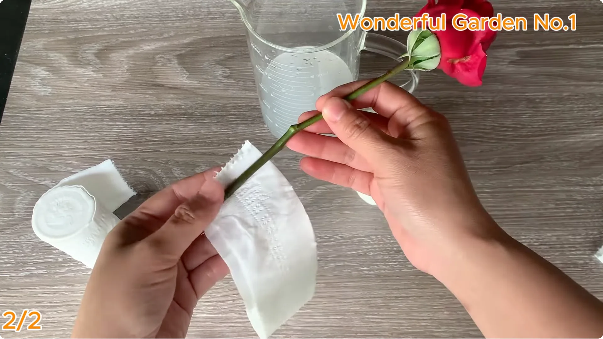 How This Simple Water Trick Grows 999 Rose Roots Overnight screenshot 6