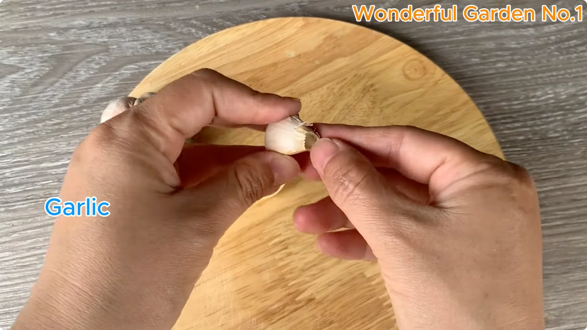 How to Easily Propagate Roses at Home: A Simple Guide screenshot 10