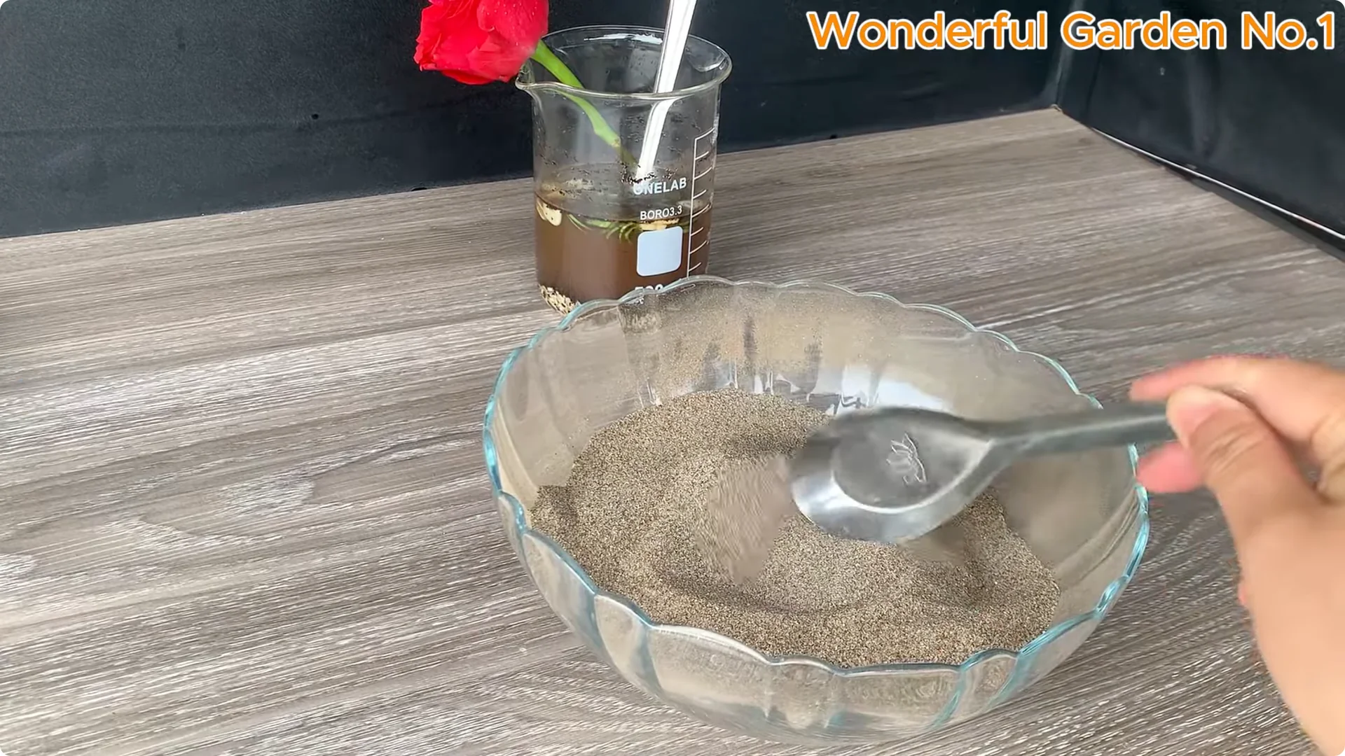 How to Easily Propagate Roses at Home: A Simple Guide screenshot 11