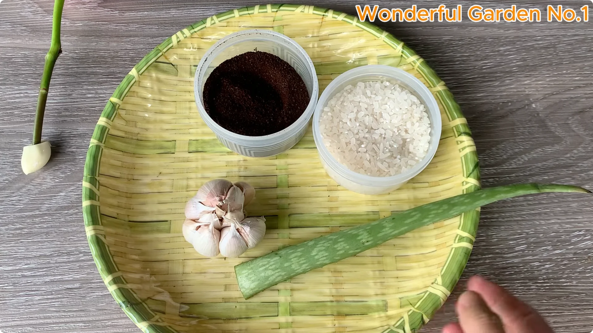 How to Easily Propagate Roses at Home: A Simple Guide screenshot 4