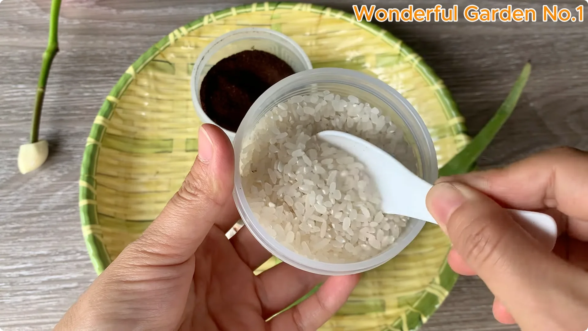 How to Easily Propagate Roses at Home: A Simple Guide screenshot 6