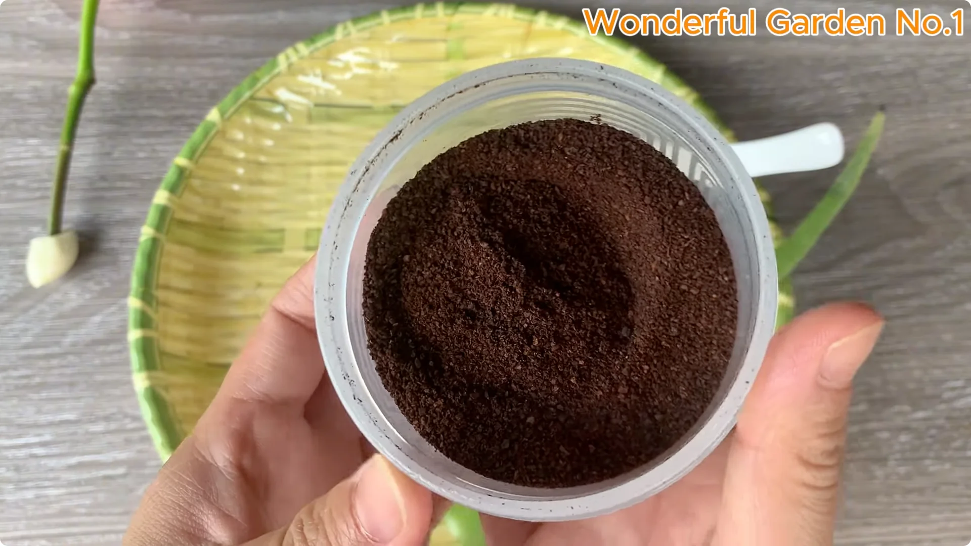 How to Easily Propagate Roses at Home: A Simple Guide screenshot 7