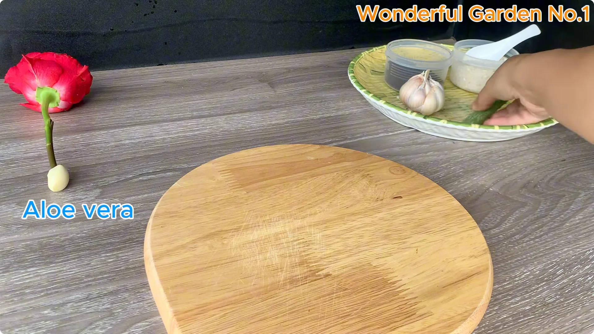 How to Easily Propagate Roses at Home: A Simple Guide screenshot 8